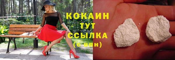 мет Арсеньев
