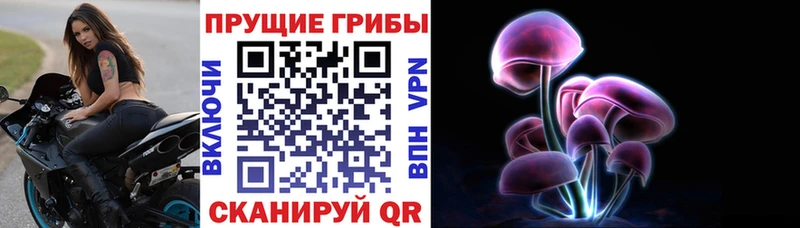 Псилоцибиновые грибы Psilocybine cubensis  наркошоп  Бодайбо 